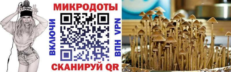 Псилоцибиновые грибы GOLDEN TEACHER Сим